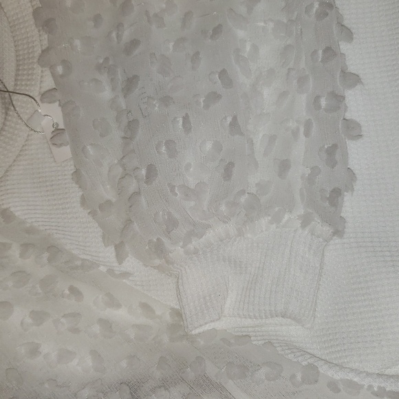 MIHOLL waffle knit top with sheer decorative sleeves - Picture 6 of 7